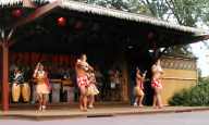 Photo - Hula guys